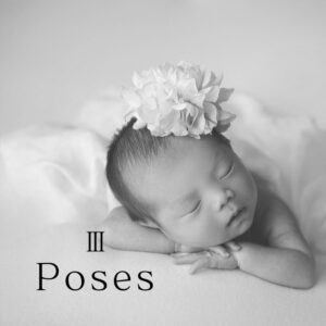 Poses Gallery