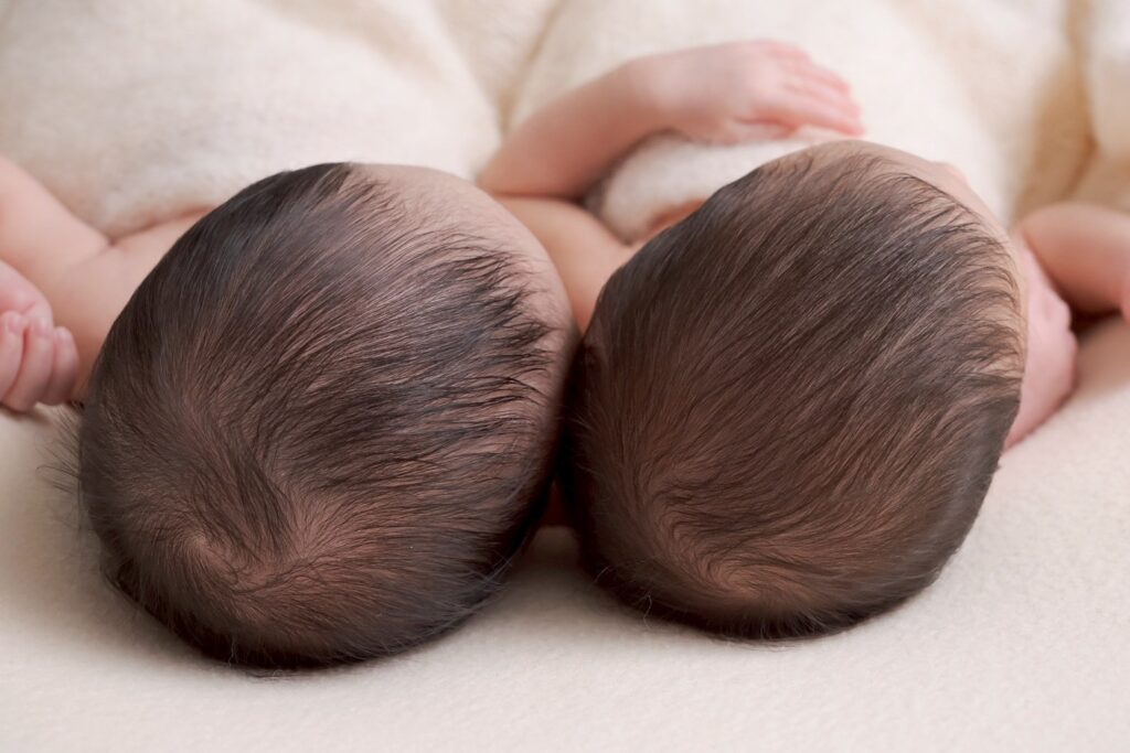 twins newborn photo