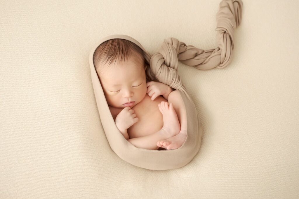 swaddle newborn photo